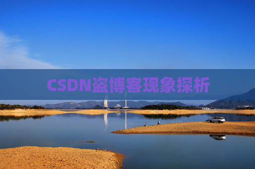 CSDN盗博客现象探析